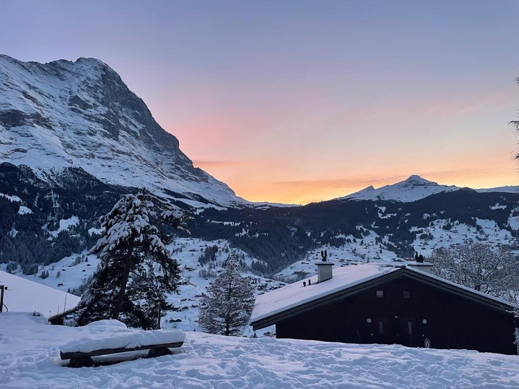 Eiger View Alpine Lodge Grindelwald Exterior photo